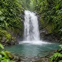 Illustrative photo: a waterfall falling into a pool in the rainforest
